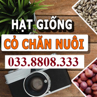 Hạt Giống Cỏ Chăn Nuôi 02