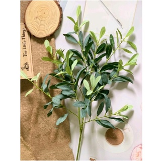 Lá oliu giả - Cành lá oliu trang trí hoặc cắm điểm dài 90cm