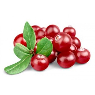 Hạt giống nam việt quất