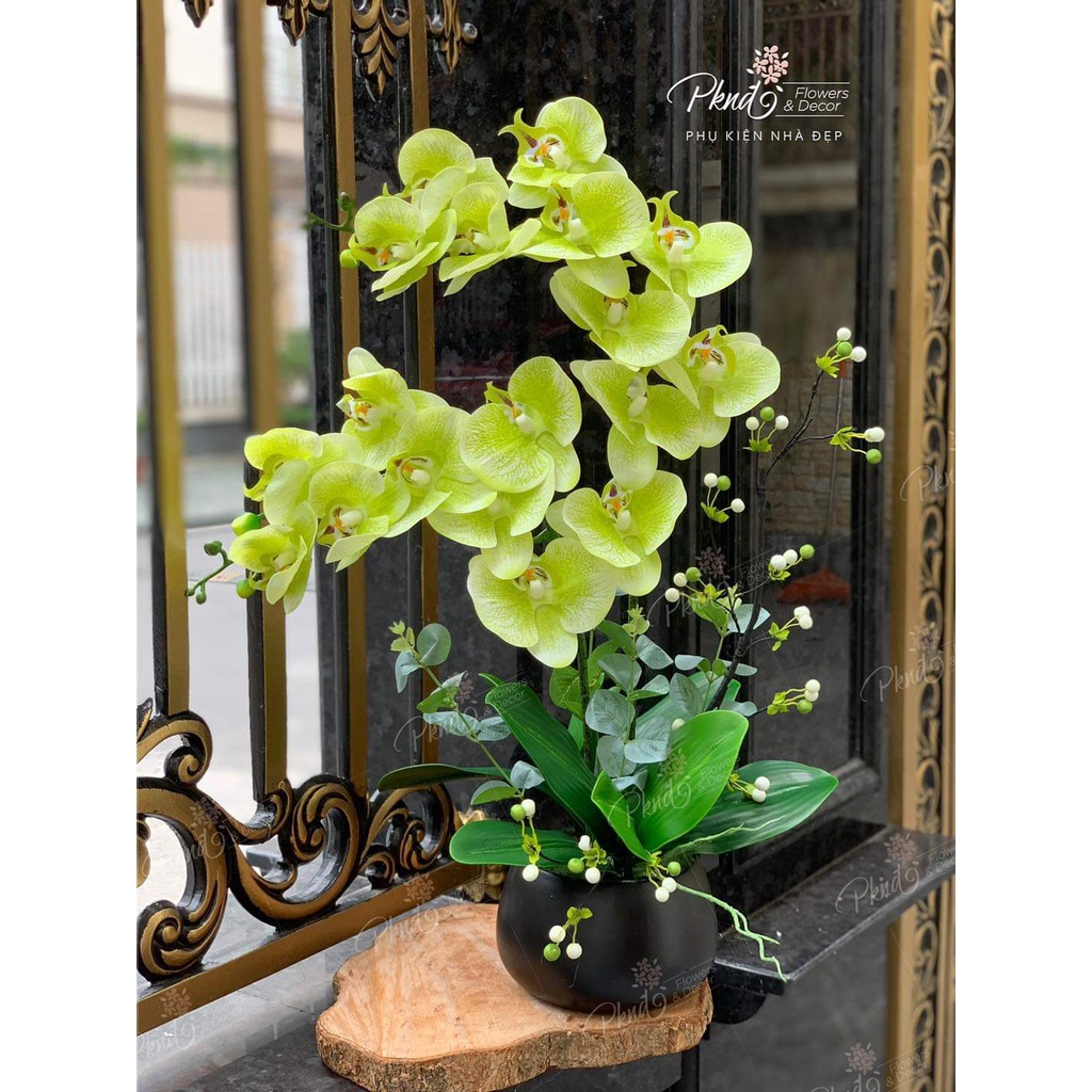 [Mã BMBAU50 giảm 7% đơn 99K] Chậu hoa giả lan hồ điệp chất cao su cao cấp PKND FLOWERS &amp; DECOR