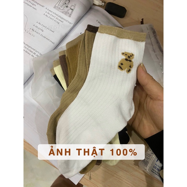 Tất nữ cổ dài cotton gân hình gấu siêu cute phong cách nữ sinh Hàn Quốc Havana FPT20