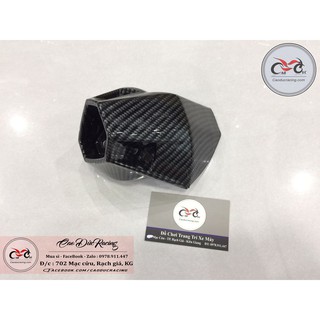 Sỉ Chụp pô Winner 150 Sơn cực đẹp