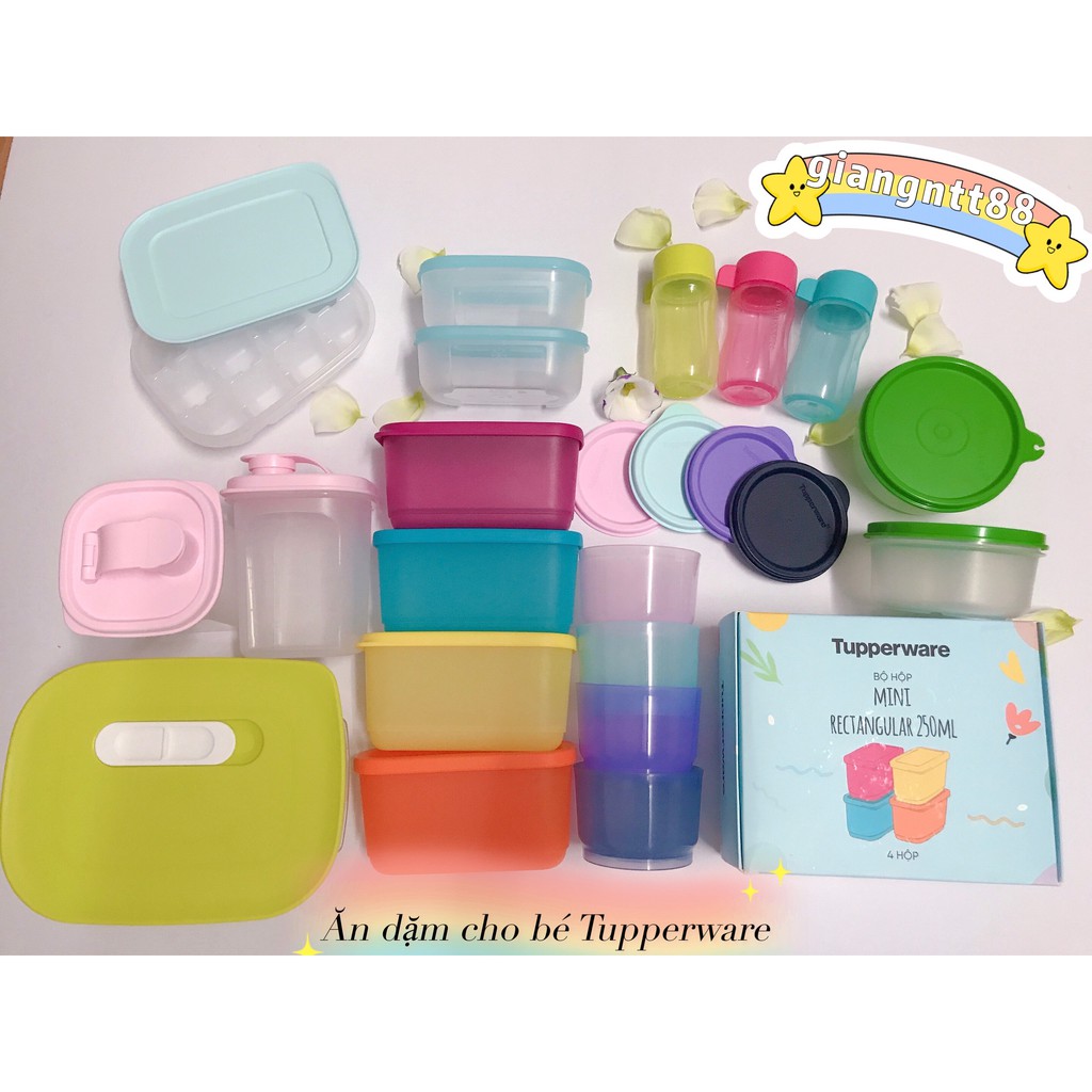 Hộp ăn dặm cho bé mini rectagular 250ml/ snack cup/ small saver/ đông 140ml/ đông 80ml/ eco 90ml/ Tupperware