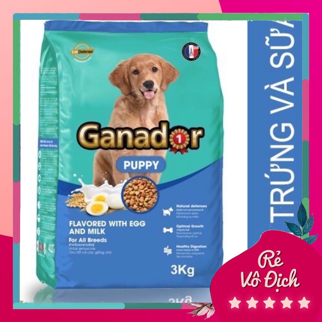 [3kg]Ganador puppy dành cho chó con dưới 12 tháng vị trứng và sữa