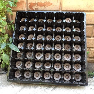 khay ươm hạt 50 lỗ