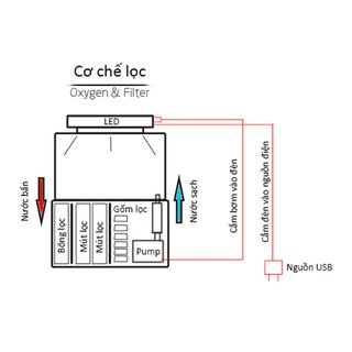 Bể cá mini để bàn Bể thủy sinh mini để bàn 01