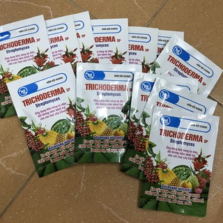 Nấm đối kháng Trichoderma sp Streptomyces