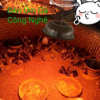 Đèn Úm Ngan Gà Vịt Lợn Siêu Bền