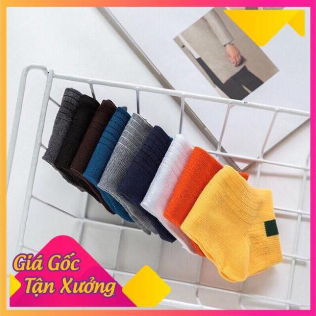 Set 10 Đôi Tất Gân Vintage Cổ Ngắn Kháng Khuẩn (Nhiều Màu)