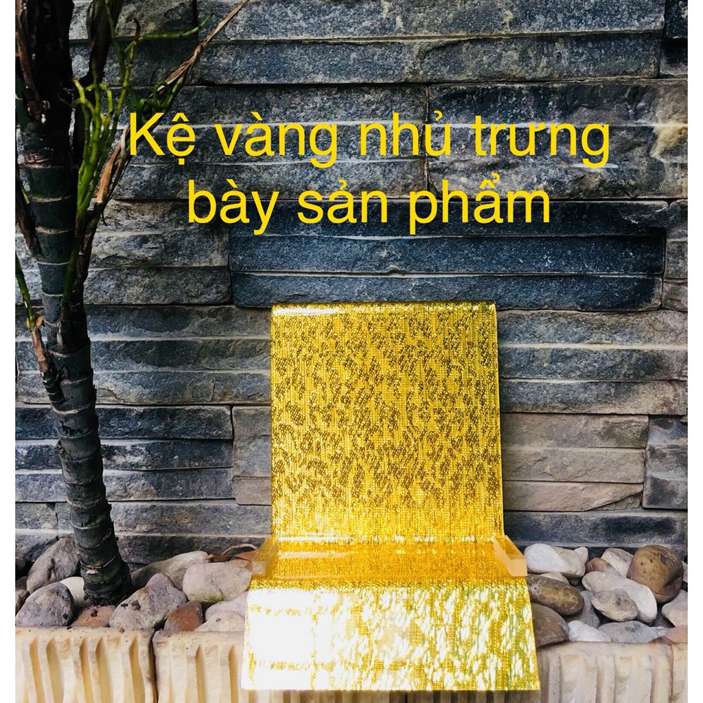 Kệ trưng bày yến