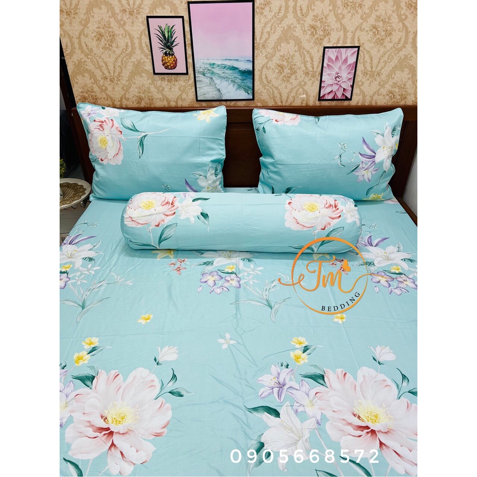 Ga gối tencel siêu mát lạnh màu sắc sang trọng mẫu mới