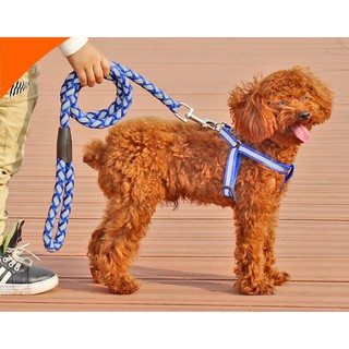 Dây dắt yếm dạ quang