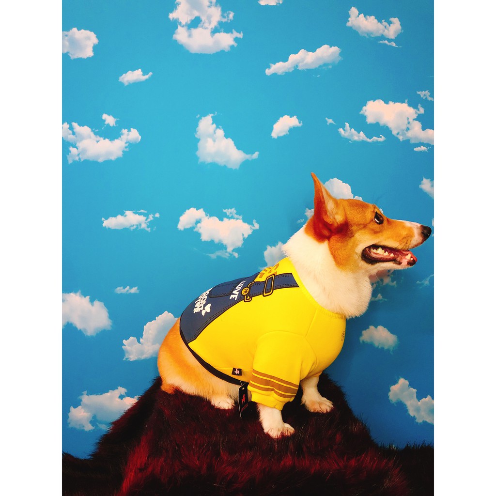 ÁO CORGI GẤU HÀN QUỐC SIÊU DỄ THƯƠNG SIZE L(5>9KG)