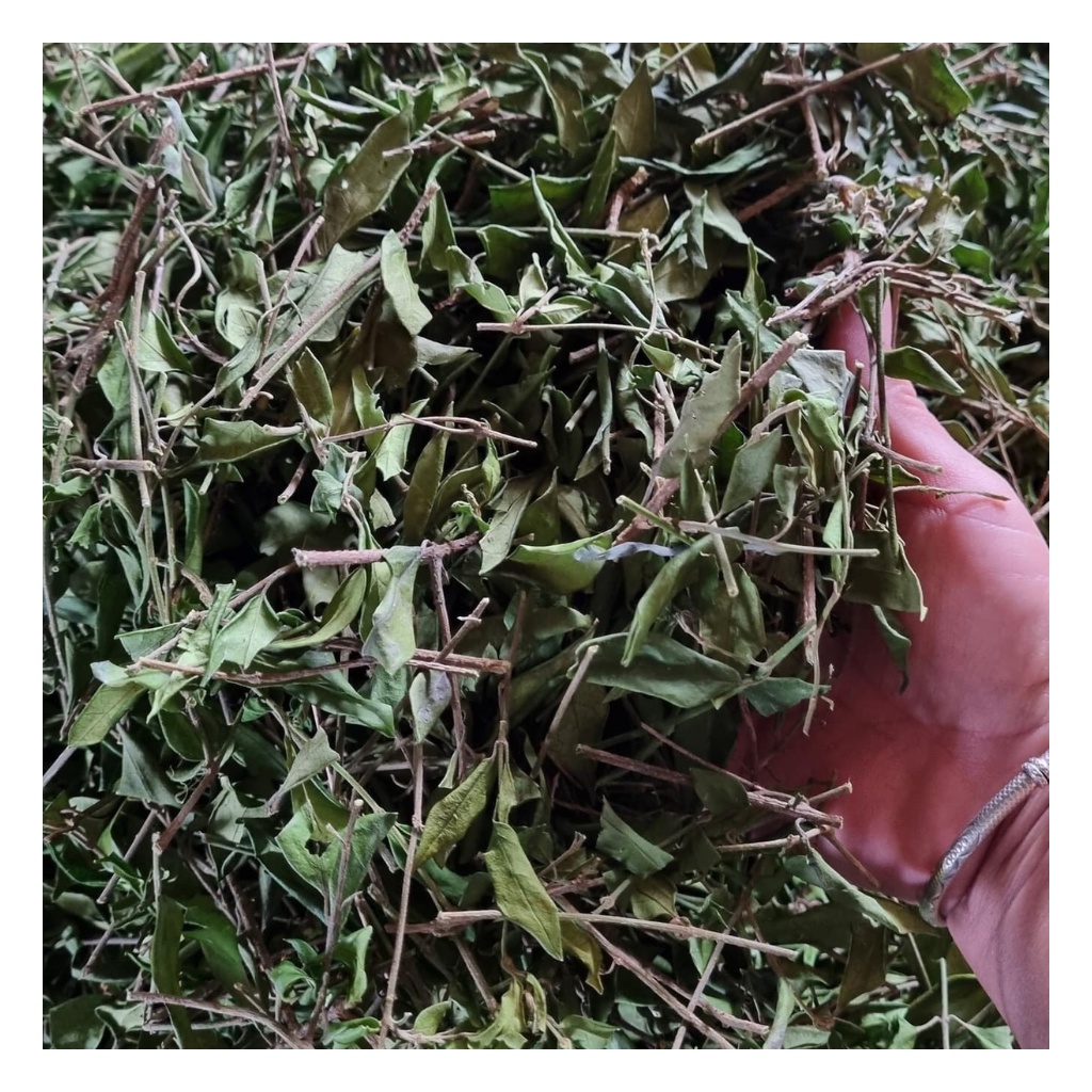 Dây Thìa Canh Loại 1 Hàng Mới Chất Lượng Hỗ Trợ Người Tiểu Đường Túi 1Kg | BigBuy360 - bigbuy360.vn