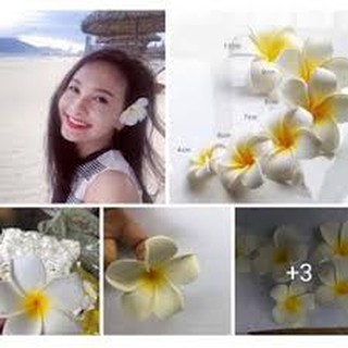KẸP TÓC HOA SỨ HOT TREND 2018