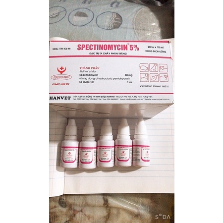 Dung dịch uống Spectinomycin5% lọ 10ml chữa tiêu chảy Chó mèo lợn gà