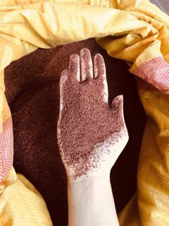 Hạt Đình lịch/ Hạt ngũ hoa (1kg) 145000
