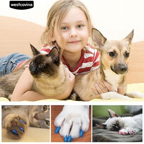 Bộ nắp bịt móng cho thú cưng tiện dụng