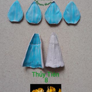 GÂN HOA THỦY TIÊN
