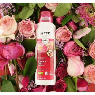 Dầu gội hữu cơ Lavera