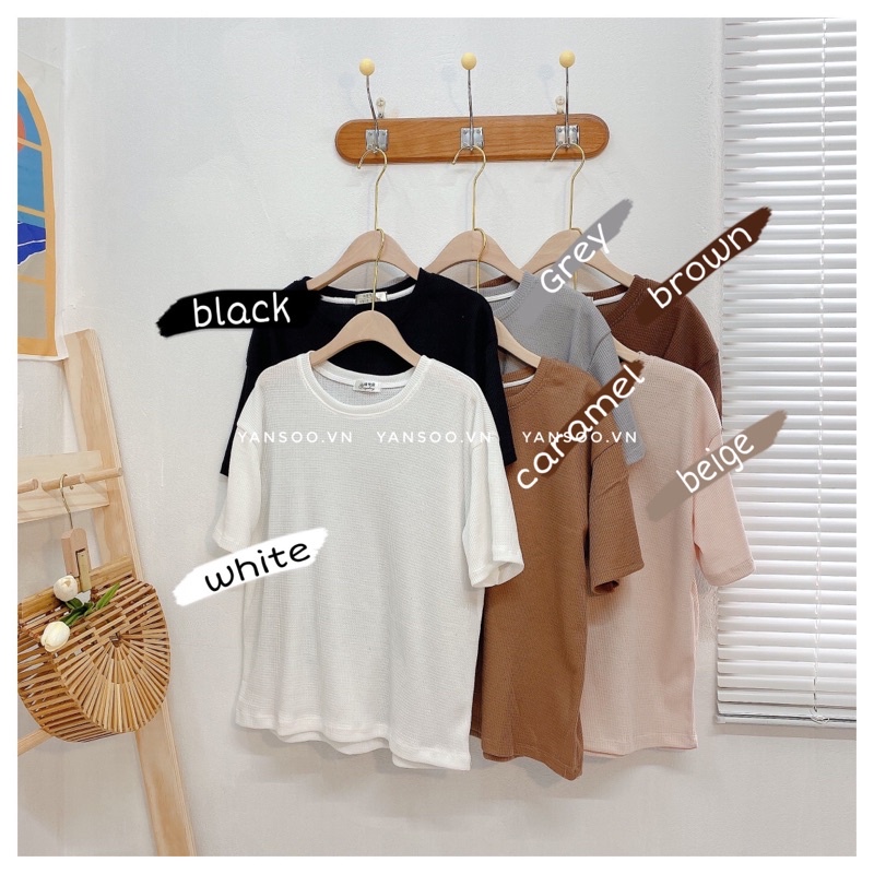 Áo thun trơn coton cộc tay from rộng , áo T - Shirt basic bảng màu pastel chất xốp Quảng Châu cực xinh by YANSOO