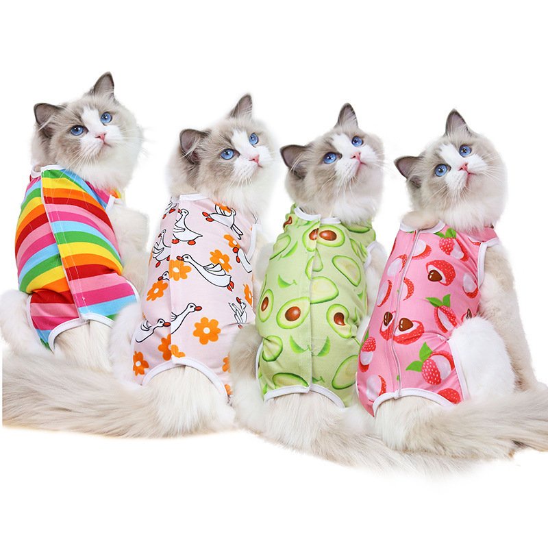 Quần áo thú cưng thời trang cho mèo size lớn nhỏ mặc mùa hè giá rẻ CANDYPETS