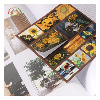 STICKER ẢNH PHOTO SERIES VOL.4 | MST299