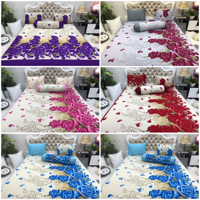 Bộ drap thun Hàn phối màu