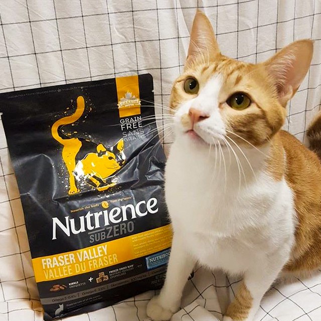 Hạt Nutrience SubZero 500GR - Cho Mèo Mọi Độ Tuổi - Gà Tây, Cá Hồi & Rau Củ Quả