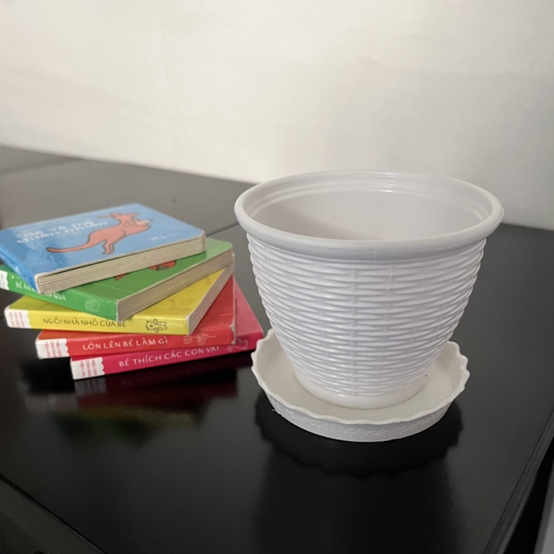 Chậu trồng cây để bàn mây đan Vành mini siêu dễ thương
