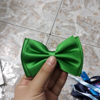 Nơ Mèo cho chú rể