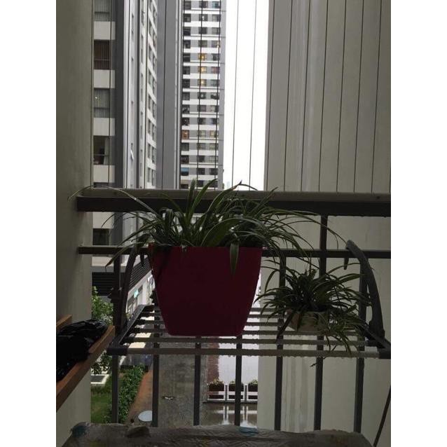 ☘️Giàn phơi đồ đa năng treo ban công tiện dụng