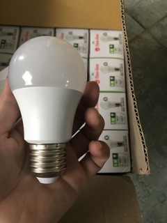 Bóng đèn led rạng đông 5w