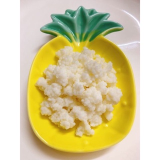 nấm sữa kefir
