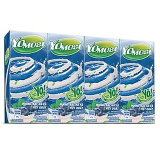 SỮA YOMOST VIỆT QUẤT 170ML