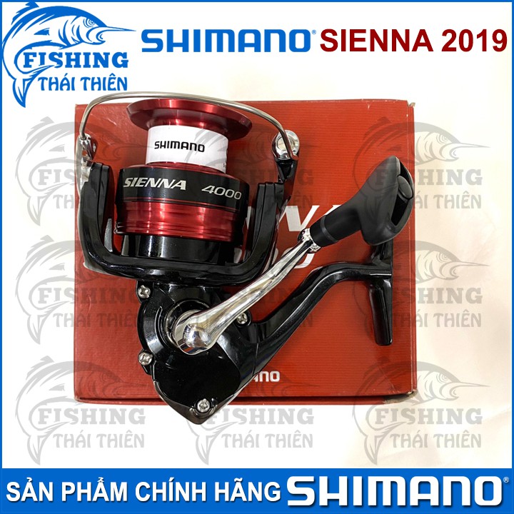 Máy câu cá Shimano Sienna 2500, 4000 dòng máy mới 2019