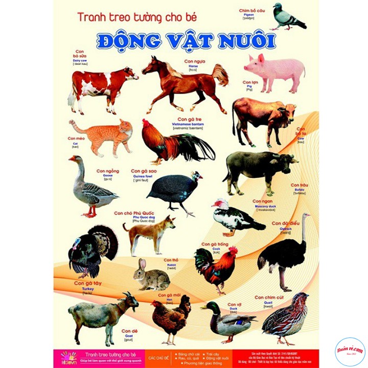 BỘ 6 TRANH TREO TƯỜNG CHO BÉ KHÁM PHÁ THẾ GIỚI XUNG QUANH 14 CHỦ ĐỀ - 00168