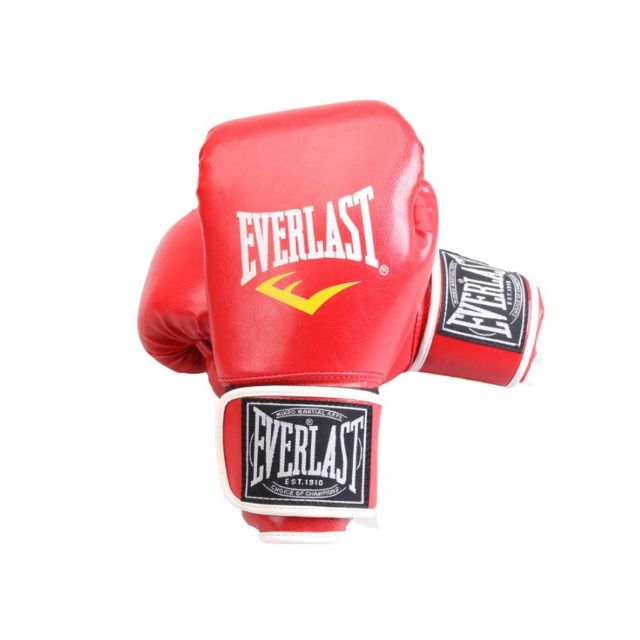 Găng tay đấm bốc Everlast tập luyện và thi đấu 12oz, 10oz ( Khách chọn kích thước)