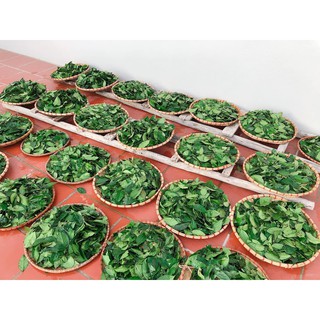 Bột Trà Xanh đắp mặt Handmade Mộc Nhan