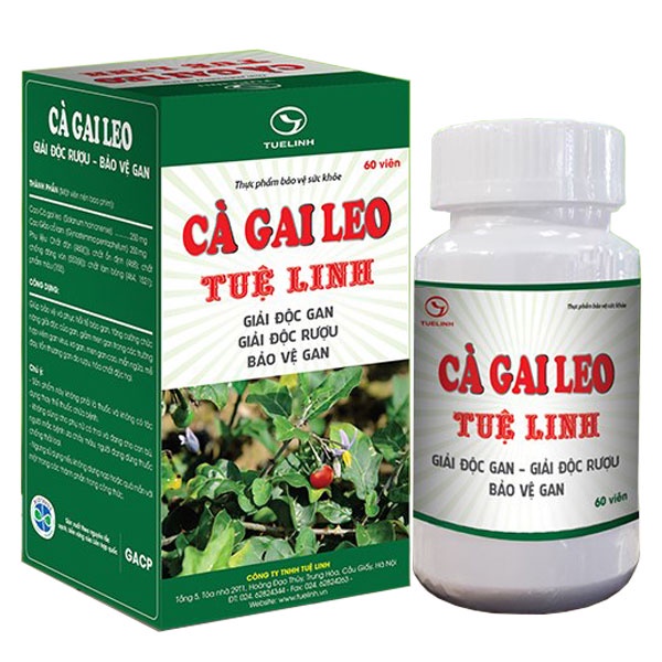 Giải Độc Gan Tuệ Linh Từ Cà Gai Leo