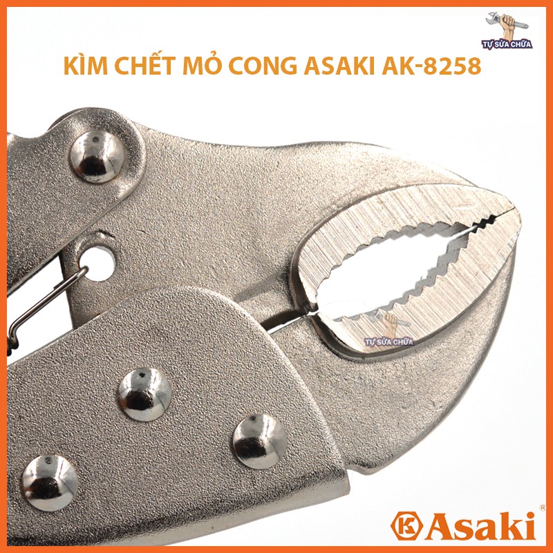 Kìm chết mỏ cong chính hãng Asaki AK-8258 10'' 250mm kẹp chắc