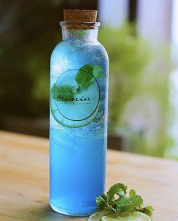 Chai Thuỷ Tinh Nút Gỗ 350ml