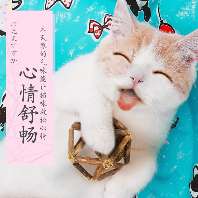 Vật nuôi Mèo Chó Mint Quả bóng tinh tế Đồ chơi tự sướng lớn Mattia Polygonum Thanh bạc hà Trẻ