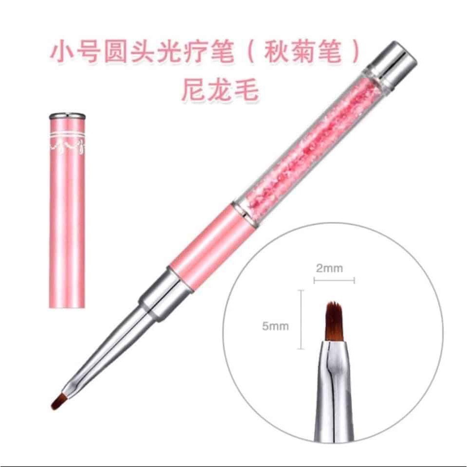 Cọ vẽ hoa cúc-