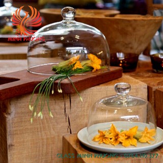 Nắp chụp thủy tinh 22cm x 16cm