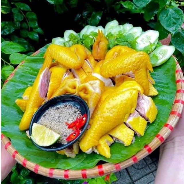 GÀ RI Ủ MUỐI NGUYÊN CON