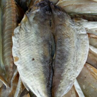 Khô cá chuối biển 500g