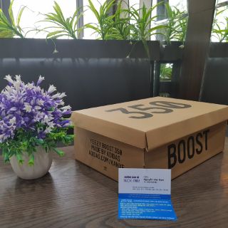 Hộp đựng giày Boost 350