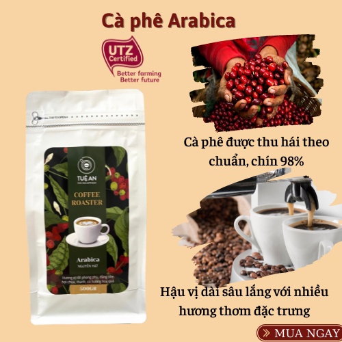 Cà phê Arabica Cầu Đất nguyên chất 100% cafe rang xay bột hạt pha máy- pha phin Tuệ An | BigBuy360 - bigbuy360.vn