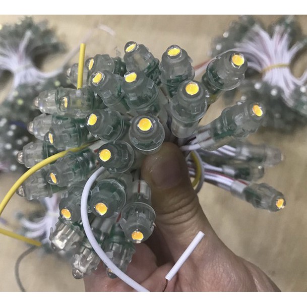 Sale - Combo 100 con led 5mm liền dây bọc nhựa 8mm, 5Vdc, mã số  X1